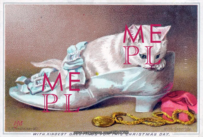 : Kitten in a shoe on a Christmas card : Kitten in a shoe on a Christmas card