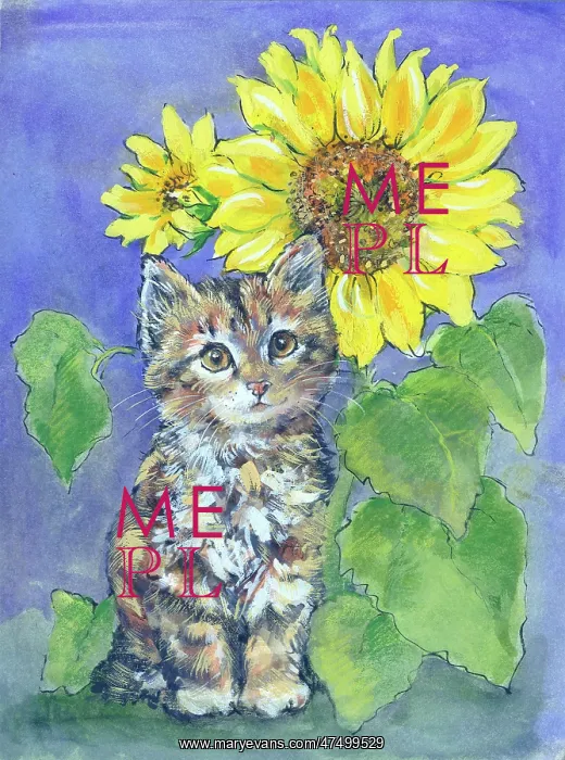  : Kitten and Sunflower