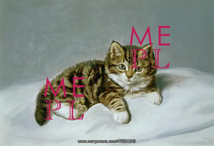 : The Kitten ' tabby kitten on a white pillow : The Kitten ' tabby kitten on a white pillow