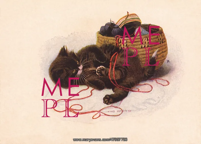  : Kitten Tangled in Yarn