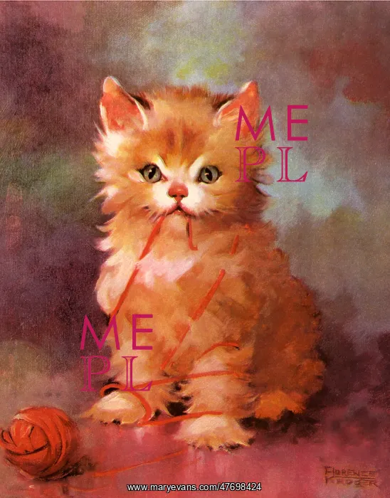  : Kitten and Yarn