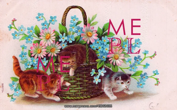 : Kittens with a basket of flowers on a postcard : Kittens with a basket of flowers on a postcard