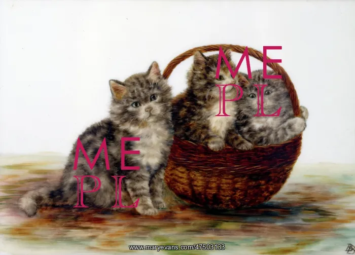 : Kittens in a Basket ' three kittens : Kittens in a Basket ' three kittens