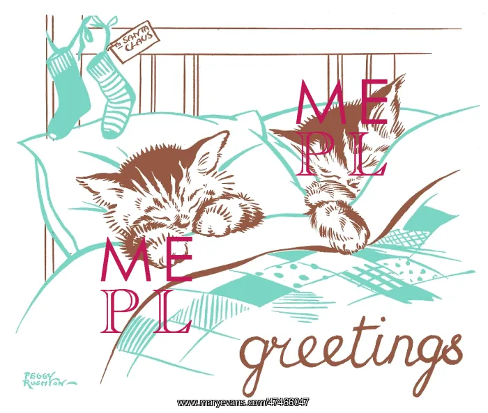 : Two kittens in bed with Christmas stockings : Two kittens in bed with Christmas stockings
