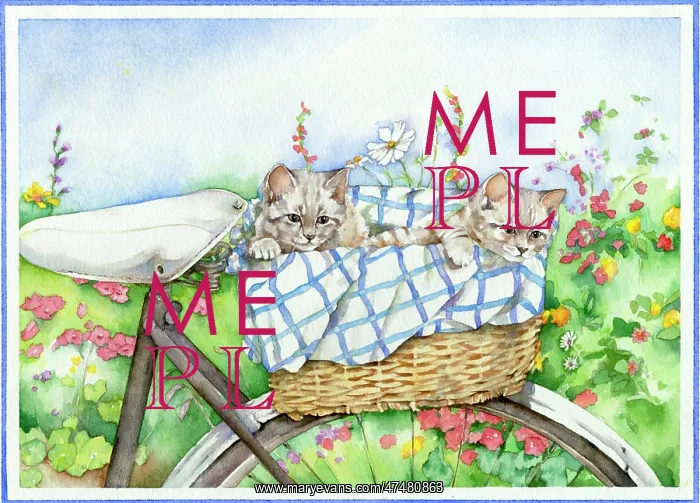 : Two Kittens in a Bicycle Basket : Two Kittens in a Bicycle Basket