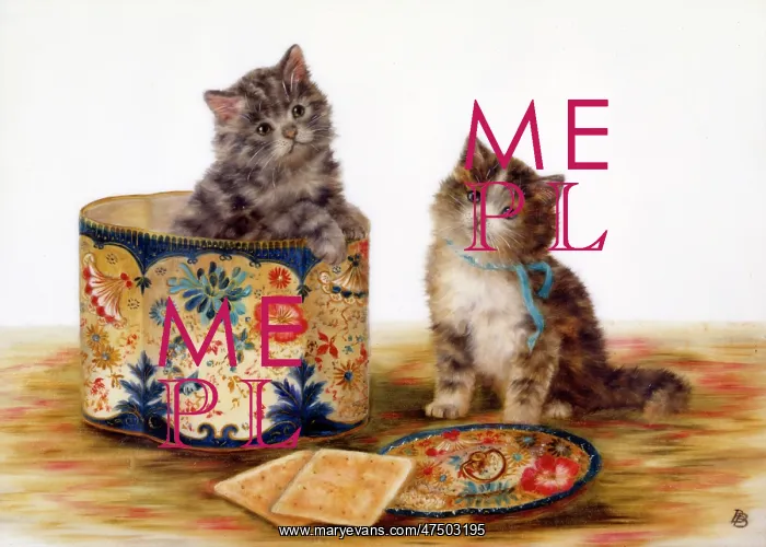  : Kittens in the Biscuit Box ' two kittens
