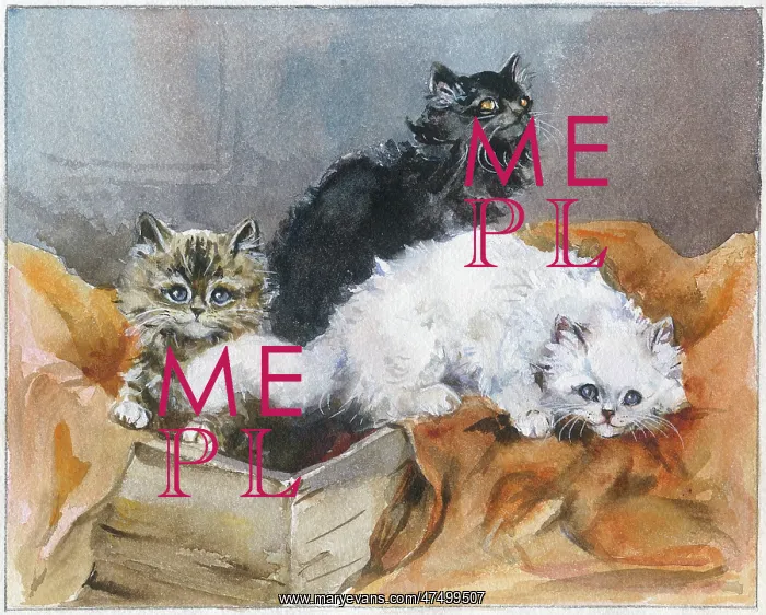  : Three kittens, black, tabby and white, in a box