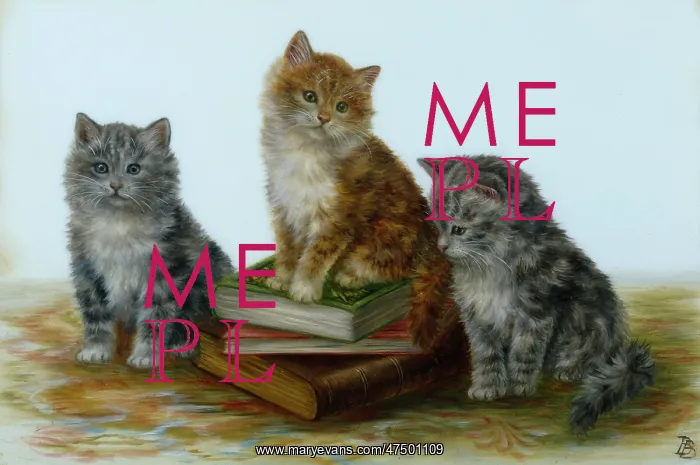 : Three Kittens ' with three books : Three Kittens ' with three books