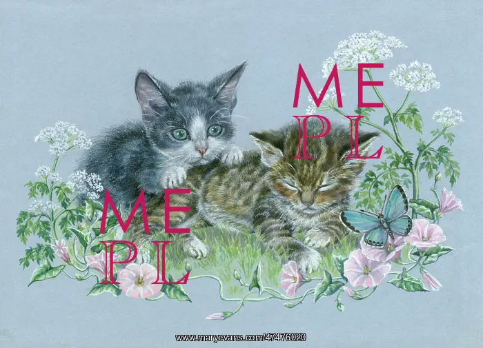 : Two Kittens, butterfly, convolvulus etc : Two Kittens, butterfly, convolvulus etc