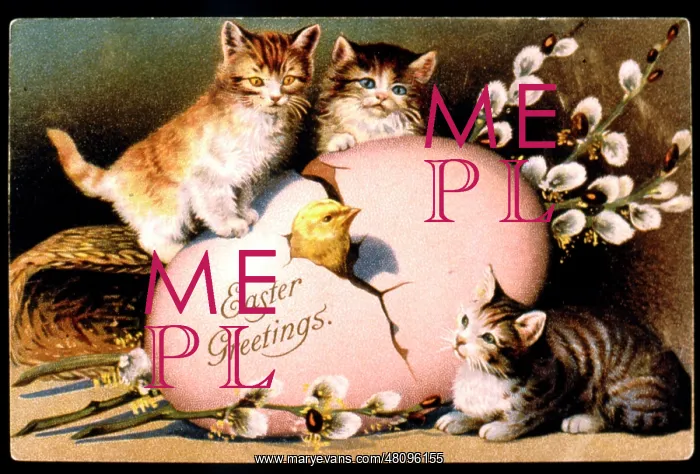 : Kittens and chick with a large Easter egg : Kittens and chick with a large Easter egg