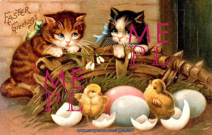  : Kittens and chicks on an Easter greetings card
