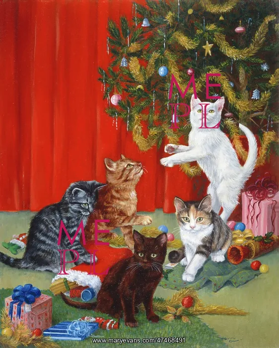 : Kittens at Christmas : Kittens at Christmas