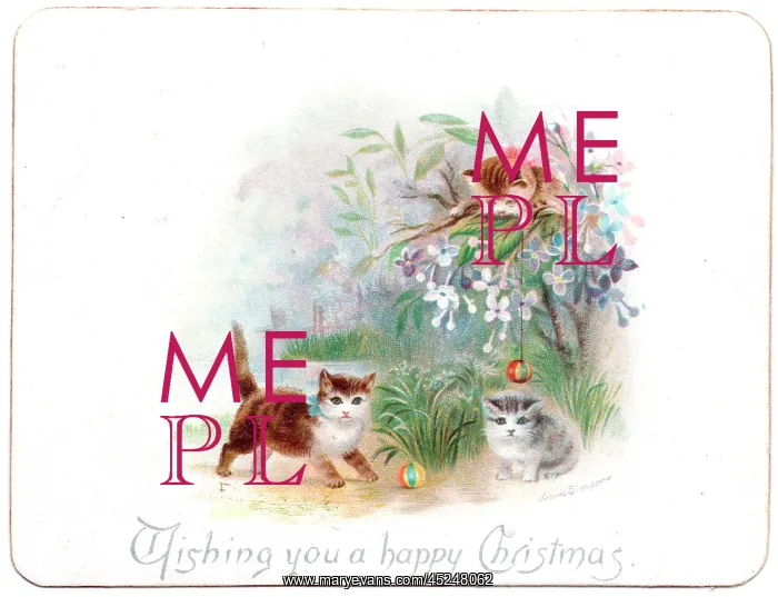 : Three kittens on a Christmas card : Three kittens on a Christmas card