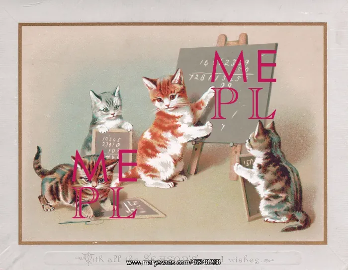 : Four kittens on a Christmas card : Four kittens on a Christmas card