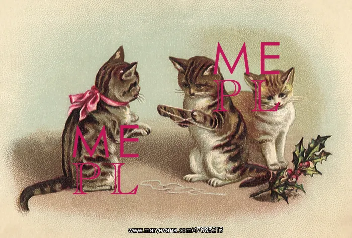  : Kitten's Cradle