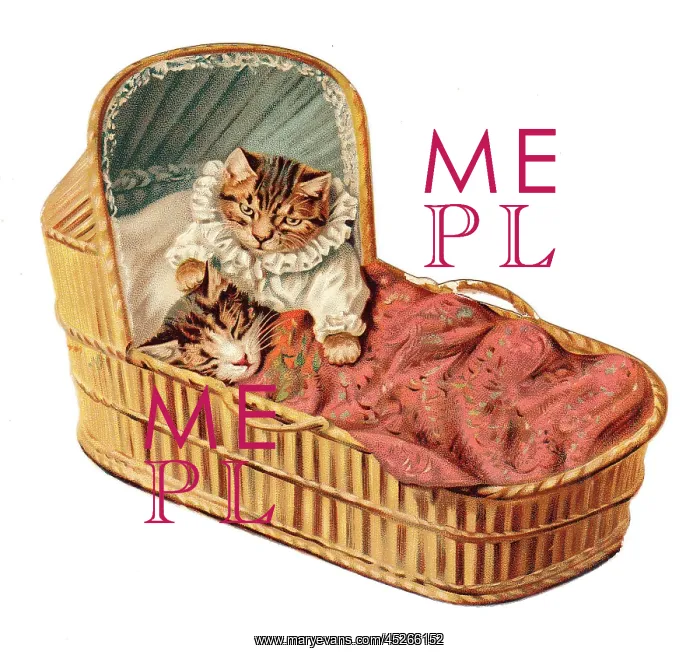 : Two kittens in a cradle on a cutout greetings card : Two kittens in a cradle on a cutout greetings card