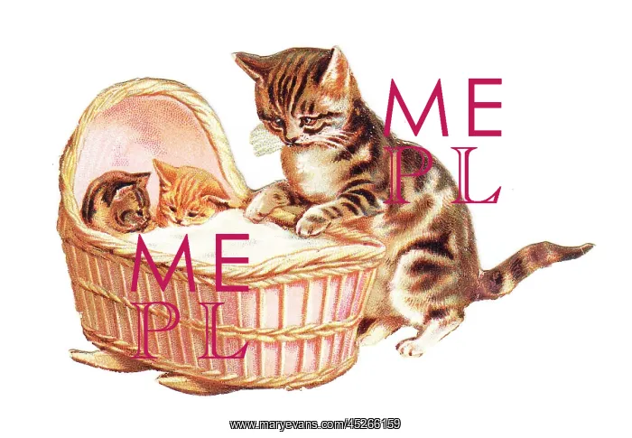 : Two kittens in a cradle on a cutout greetings card : Two kittens in a cradle on a cutout greetings card