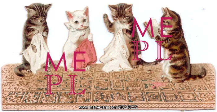  : Four kittens on a cutout greetings card