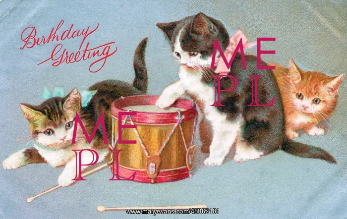  : Kittens with a drum on a birthday postcard