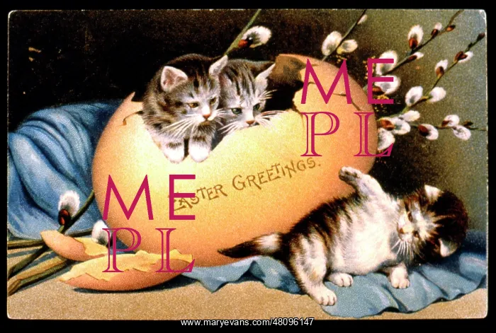  : Three kittens and an egg on an Easter card