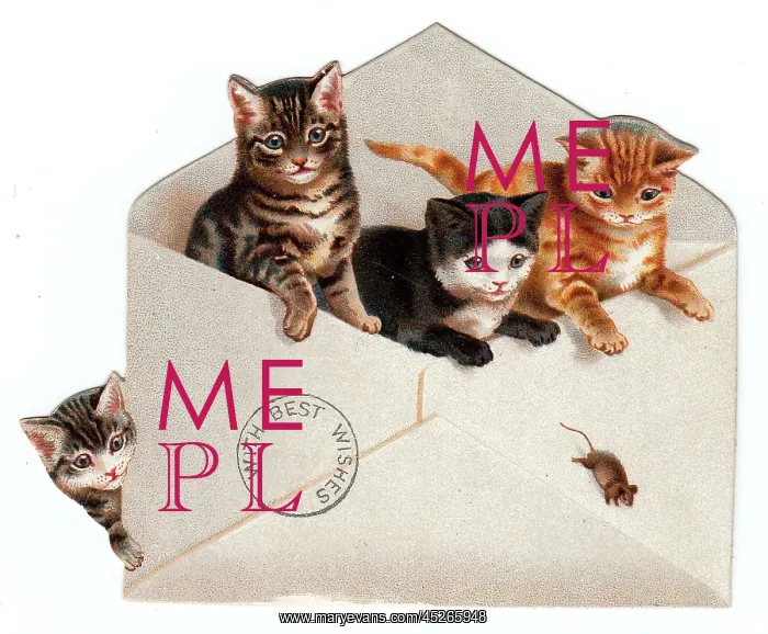 : Four kittens and an envelope on a greetings card : Four kittens and an envelope on a greetings card
