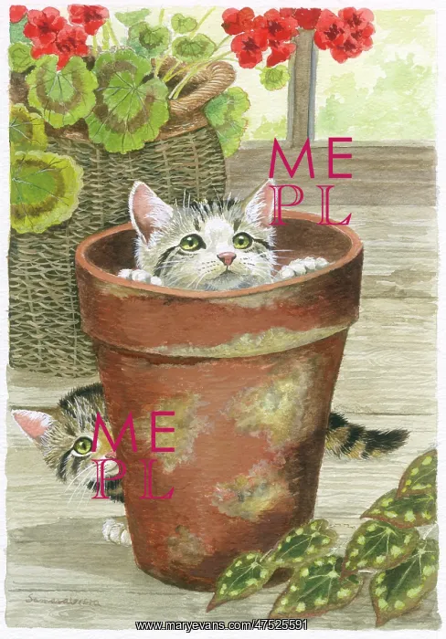 : Two Kittens with a flower pot : Two Kittens with a flower pot