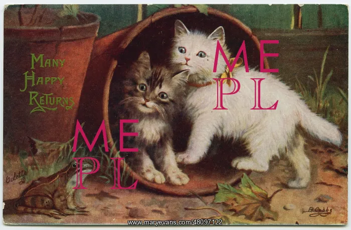  : Two kittens and a frog on a birthday postcard