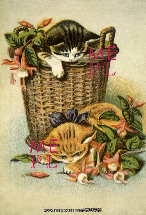  : Kittens with Fuchsias