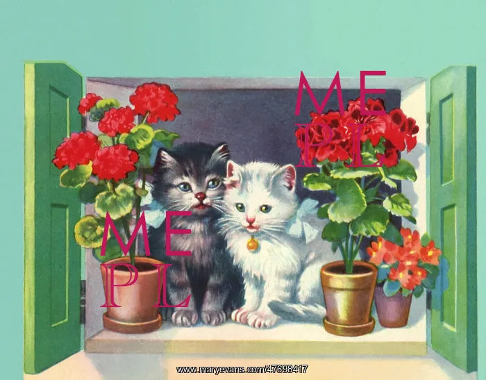  : Kittens and Geraniums