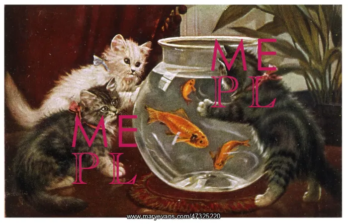  : KITTENS & GOLDFISH BOWL