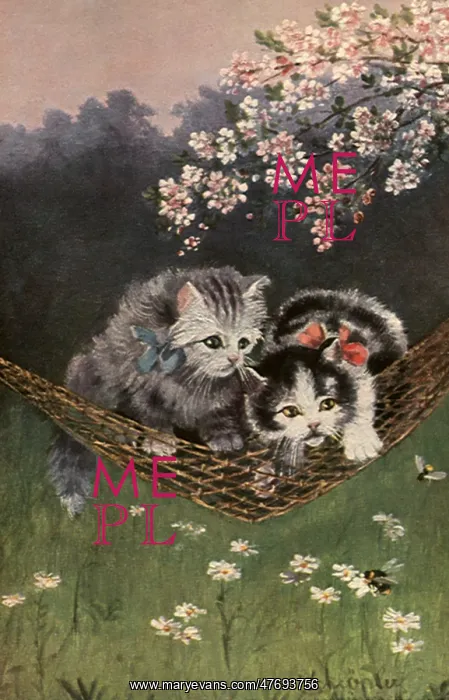  : Kittens in a Hammock under Cherry Tree