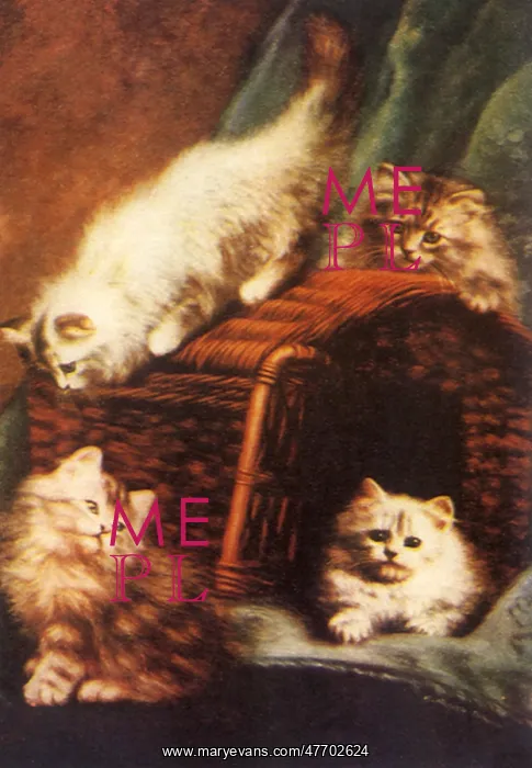  : Kittens in Hamper