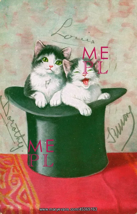  : Two kittens in a top hat on a greetings postcard