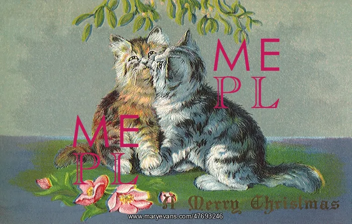 : Kittens Kissing Beneath Mistletoe : Kittens Kissing Beneath Mistletoe
