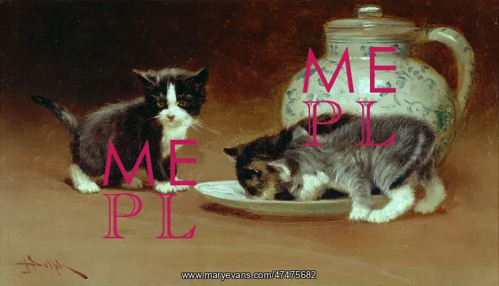 : Kittens ' two kittens with saucer of milk : Kittens ' two kittens with saucer of milk