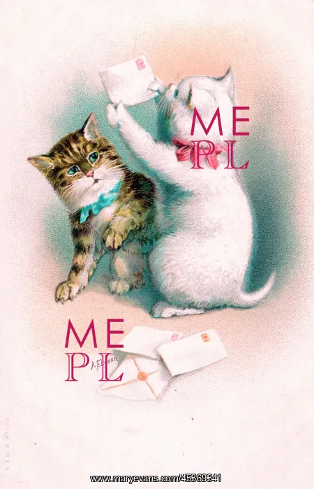  : Two kittens with letters on a postcard