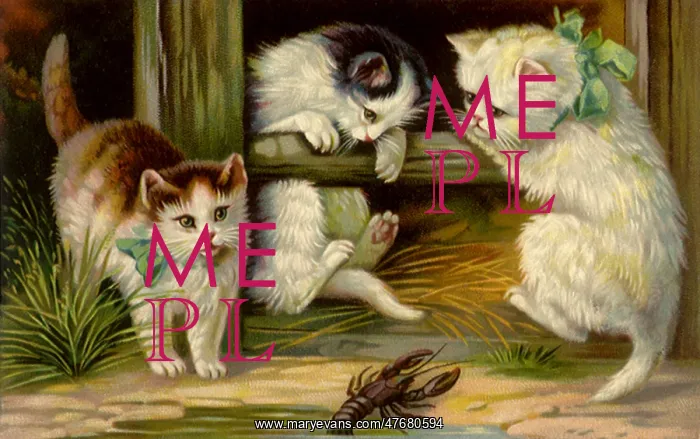  : Kittens and Lobster