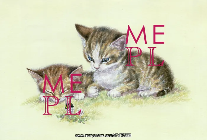  : Two Kittens looking at a Bumble Bee on clover