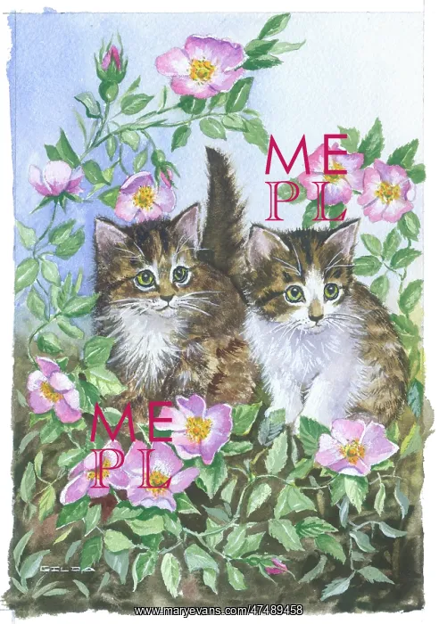 : Two Kittens with Pink Wild Roses : Two Kittens with Pink Wild Roses