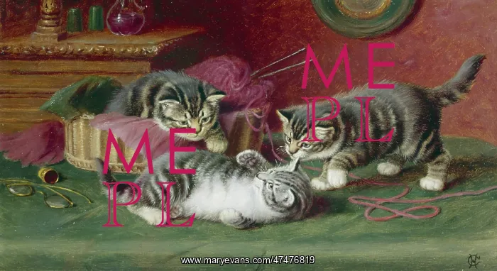 : Kittens at Play ' three kittens : Kittens at Play ' three kittens