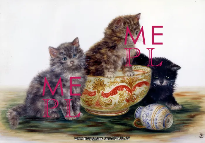 : Kittens at Play ' three kittens : Kittens at Play ' three kittens
