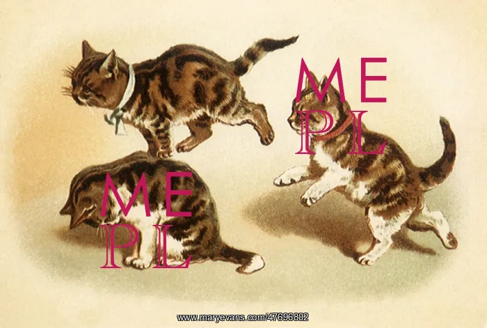  : Kittens Play Leapfrog