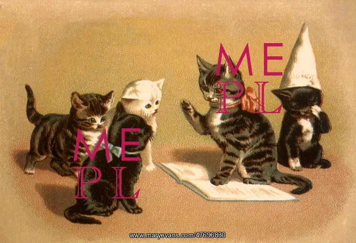  : Kittens Play School