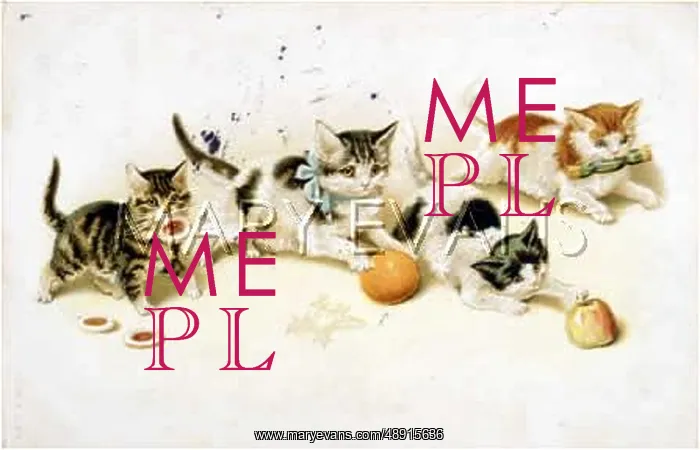  : KITTENS PLAYING 1907