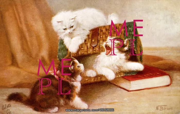  : Three kittens playing