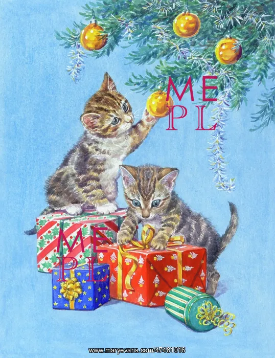 : Two kittens playing with Christmas parcels : Two kittens playing with Christmas parcels