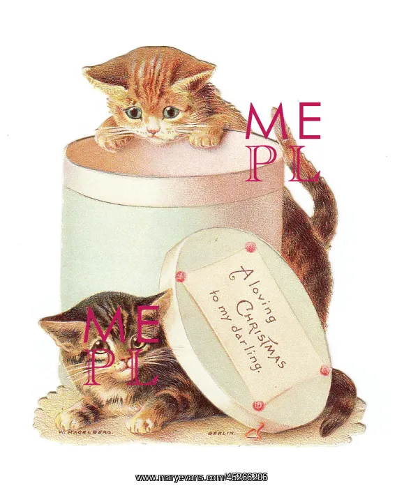 : Two kittens playing with a hatbox on a Christmas card : Two kittens playing with a hatbox on a Christmas card