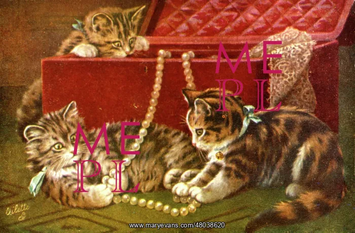  : Three kittens playing with a jewellery box