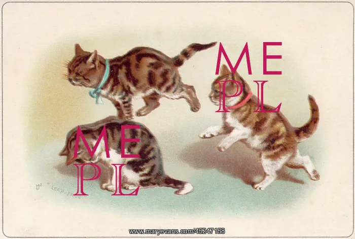  : Three kittens playing leapfrog on a greetings card