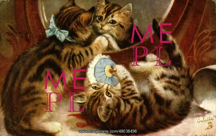  : Two kittens playing with a mirror and powder puff